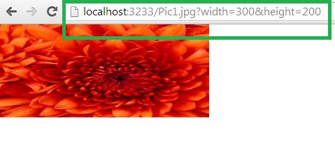 change the width value to image size